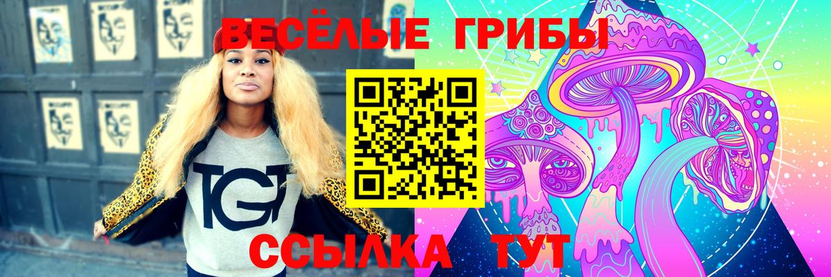 Галлюциногенные грибы прущие грибы  Вход с VPN  Казань 