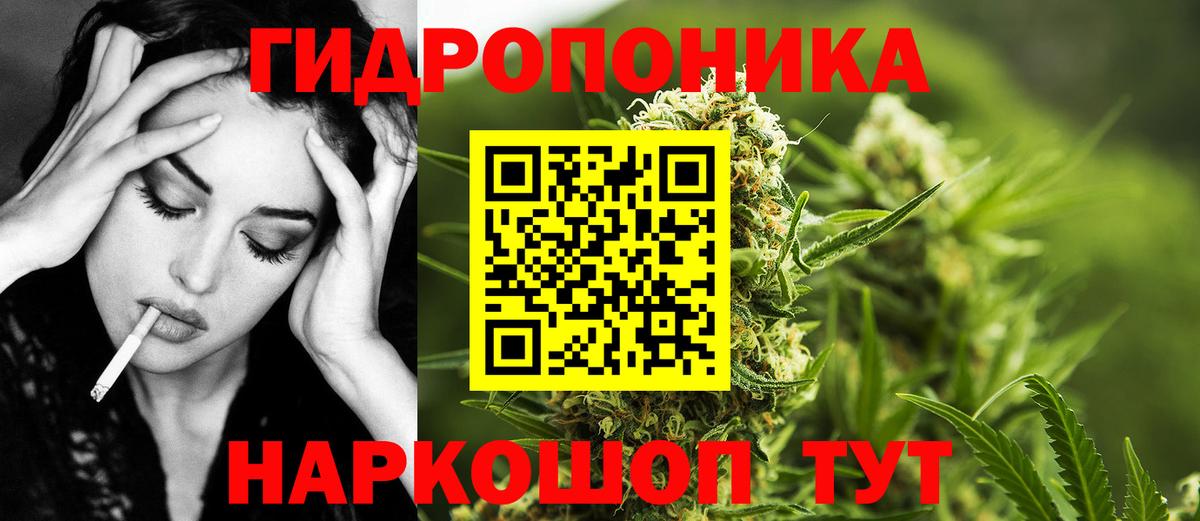 Шишки марихуана Amnesia  Вход с VPN  Казань  Бошки Шишки сатива  Бошки марихуана конопля 
